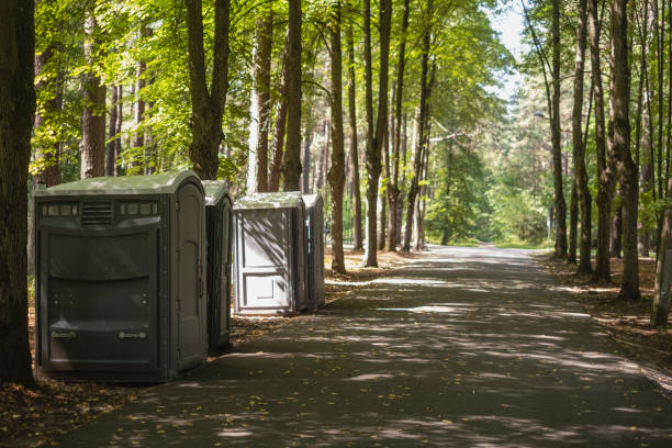 Best Sanitation services for porta potties  in Pleasant View, UT